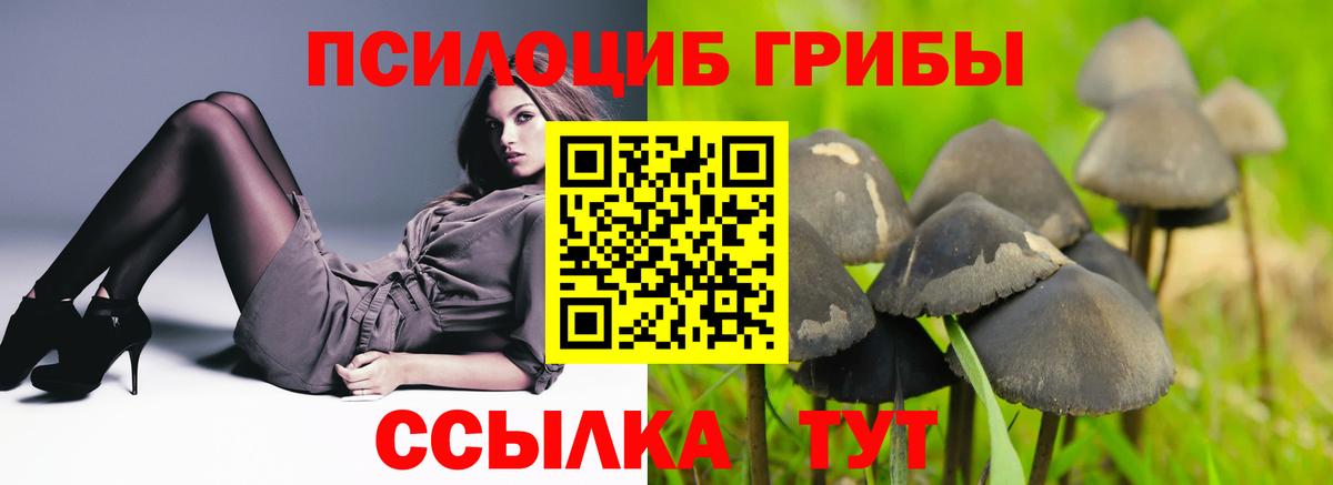 Псилоцибиновые грибы Magic Shrooms  Галлюциногенные грибы MAGIC MUSHROOMS  Реж  Вход с VPN 